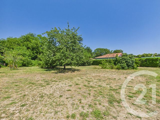 maison à vendre - 7 pièces - 188.84 m2 - CADAUJAC - 33 - AQUITAINE - Century 21 Charly Immobilier & Patrimoine
